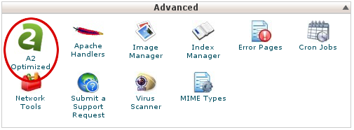 cPanel - A2 Optimized icon