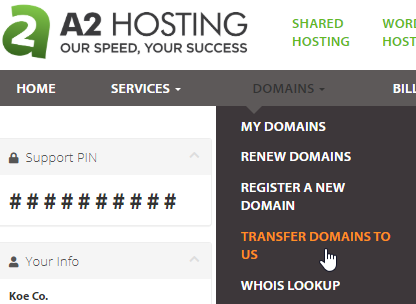 Customer Portal - Transfer Domain menu