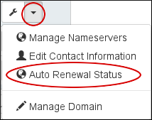 Customer Portal - Domains - Auto-renew
