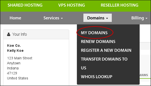 Customer Portal - My domains