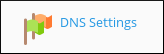 Plesk - Admin - DNS Settings icon